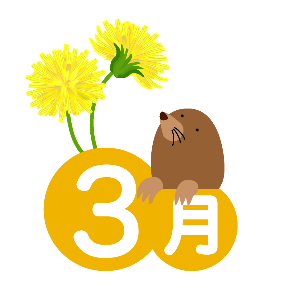 たんぽぽだより